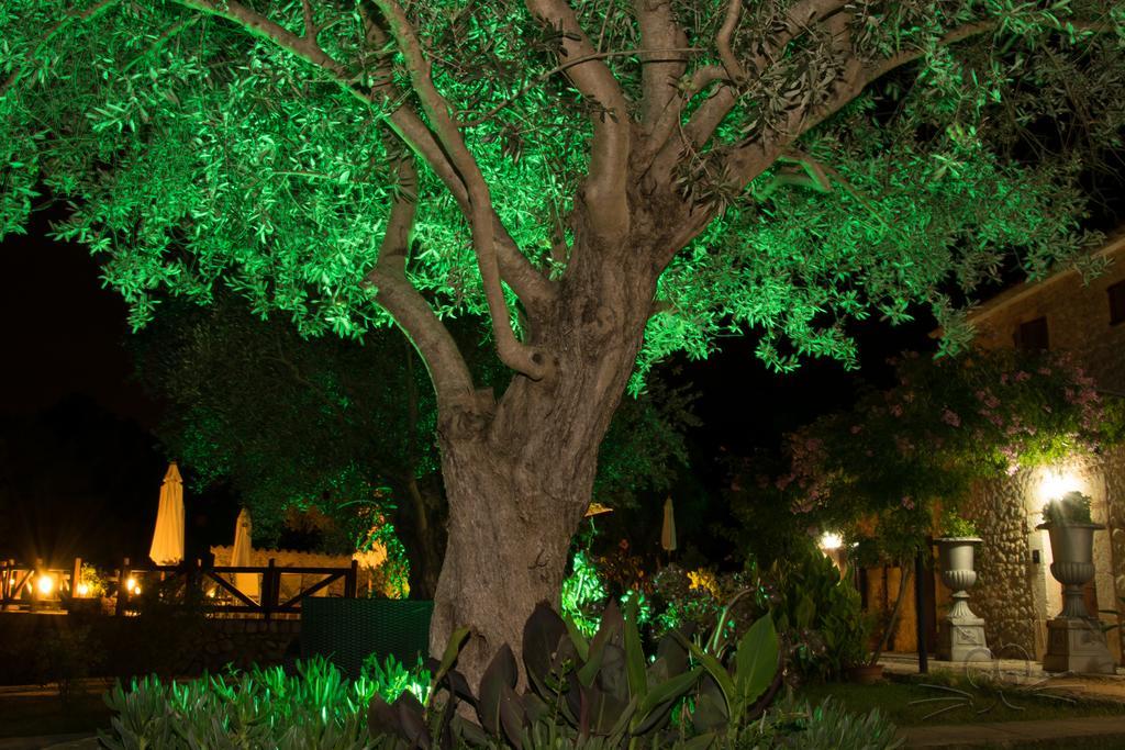 سيلفا Finca Son Olive المظهر الخارجي الصورة